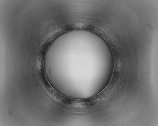 X0000111670746200907311158