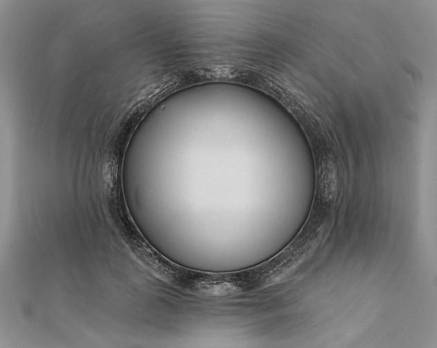 X0000111670747200907311158