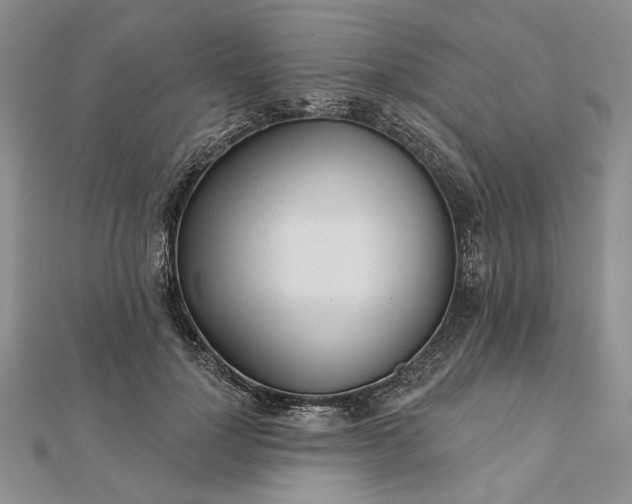 X0000111670748200907311158