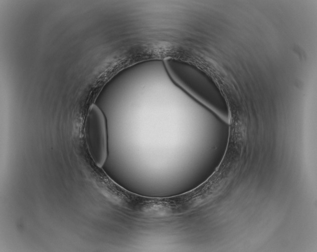 X0000111670750200907311158