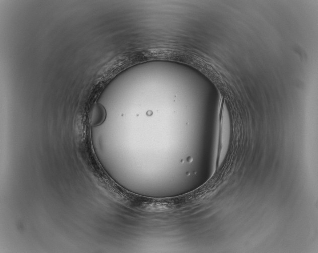 X0000111670751200907311158