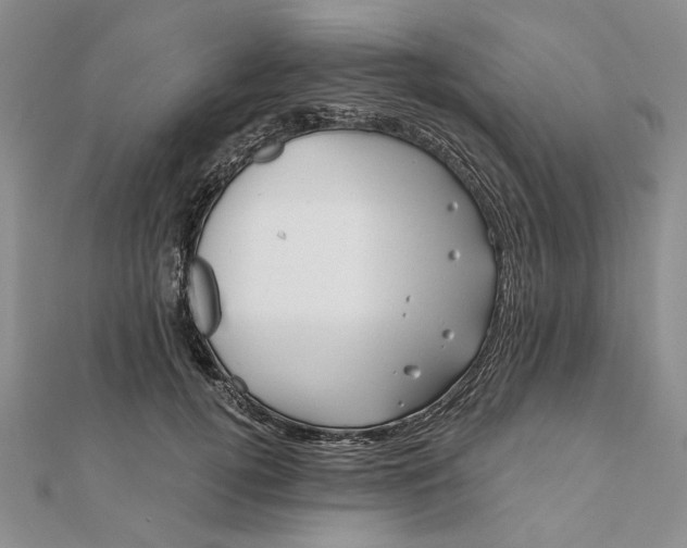 X0000111670752200907311158