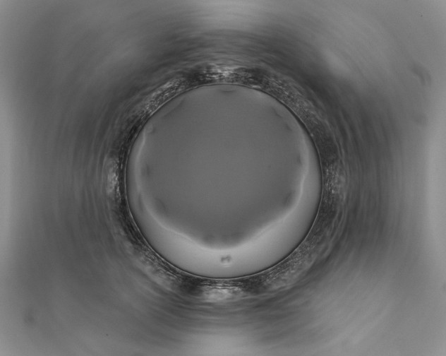 X0000111670754200907311158