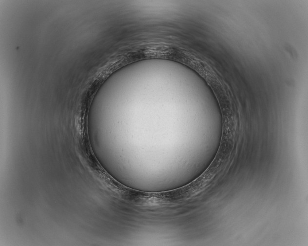 X0000111670755200907311158