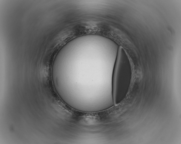 X0000111670756200907311158