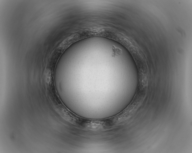 X0000111670758200907311158