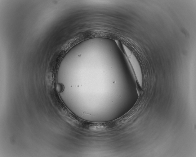 X0000111670759200907311158