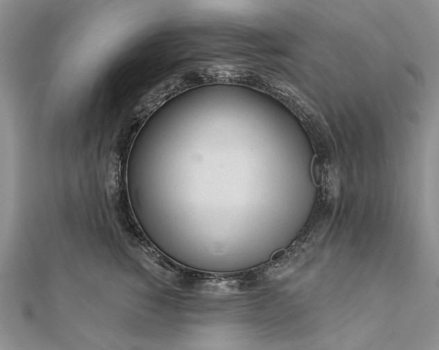 X0000111670760200907311158