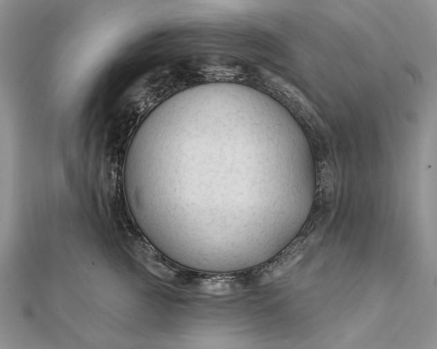 X0000111670761200907311158