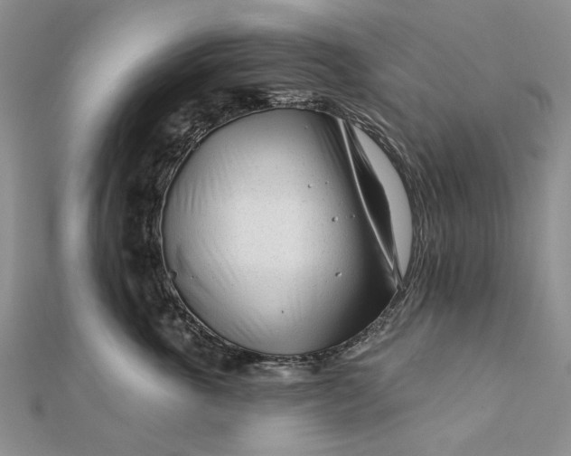 X0000111670763200907311158