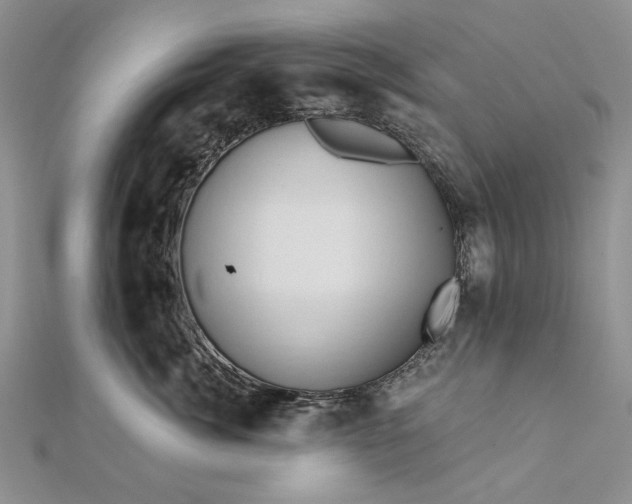 X0000111670764200907311158