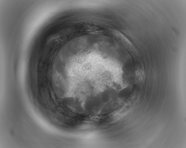 X0000111670765200907311158