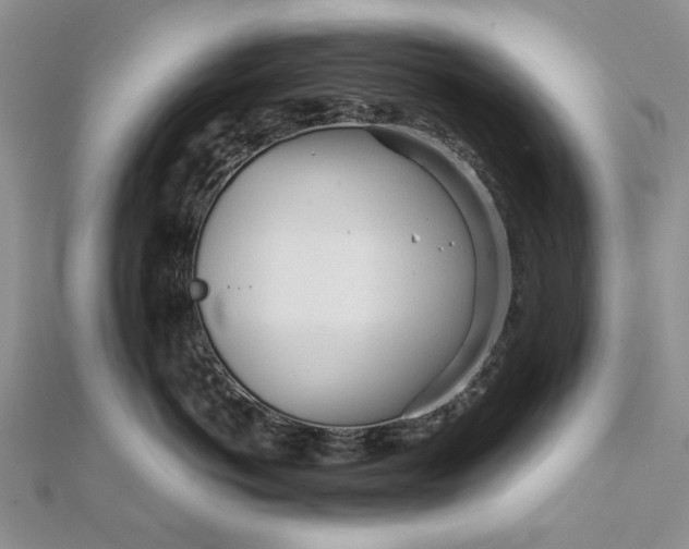 X0000111670766200907311158