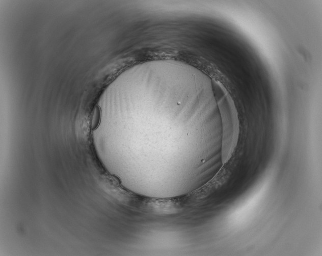 X0000111670767200907311158