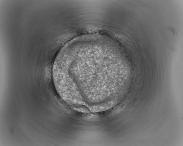 X0000111670768200907311158