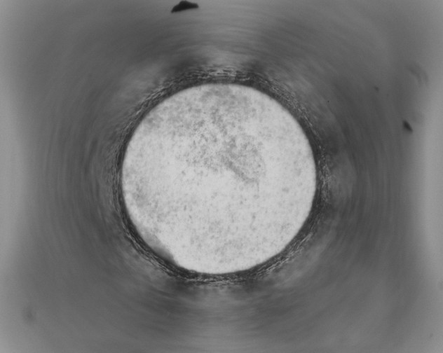 X0000111670769200907311158