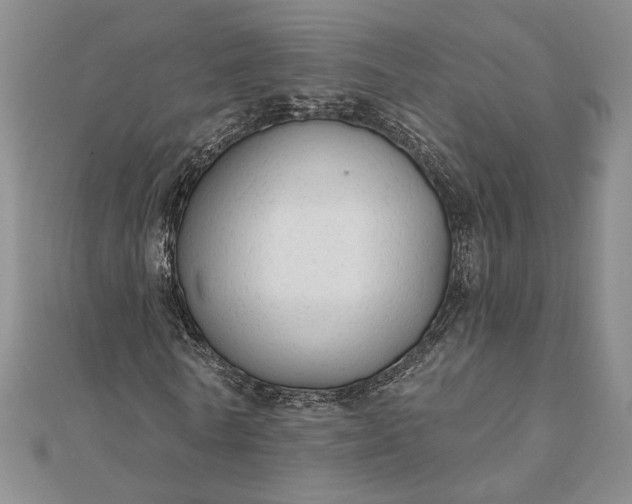 X0000111670770200907311158