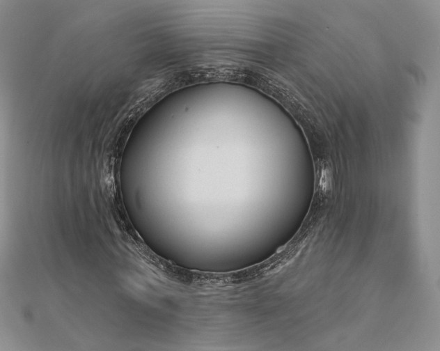 X0000111670771200907311158