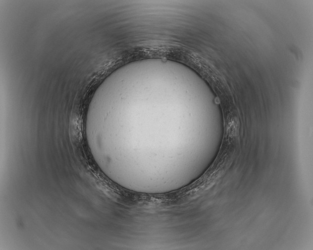 X0000111670772200907311158