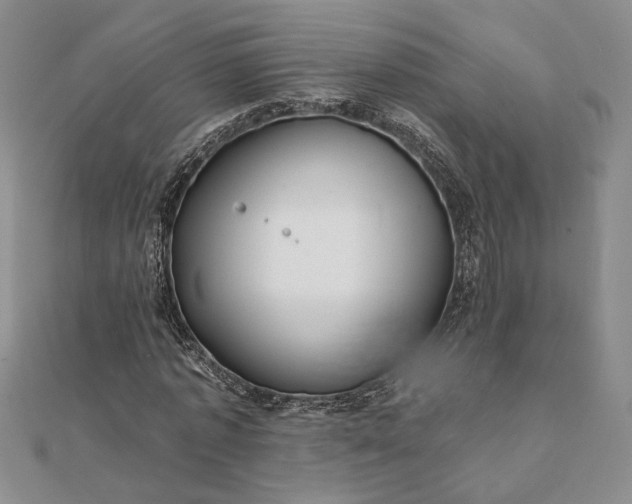 X0000111670773200907311158