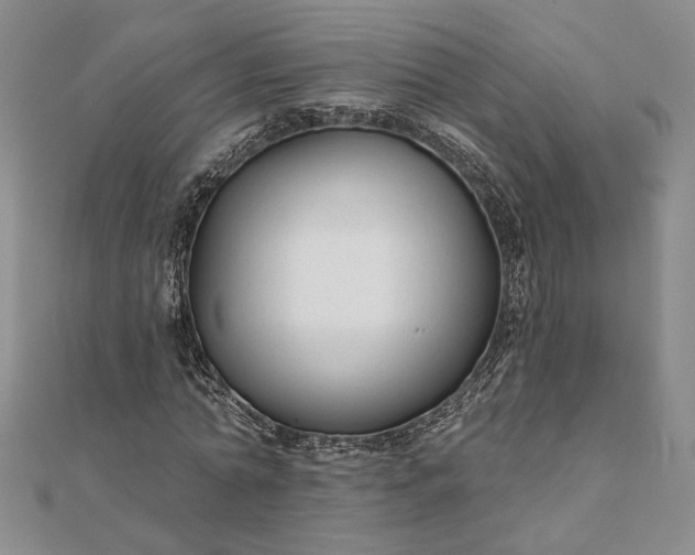 X0000111670774200907311157