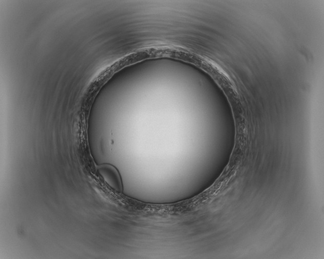 X0000111670775200907311157