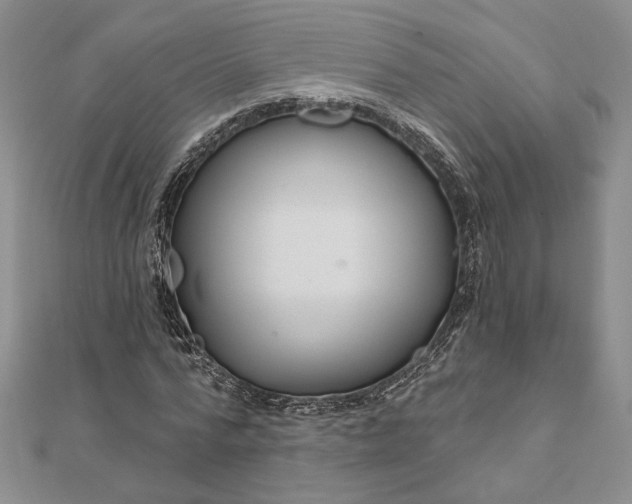 X0000111670776200907311157