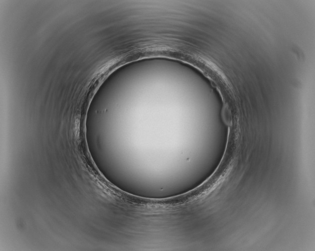 X0000111670777200907311157