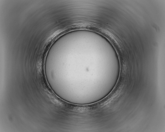 X0000111670778200907311157