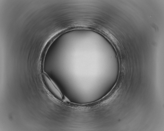 X0000111670779200907311157