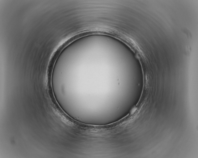 X0000111670780200907311157