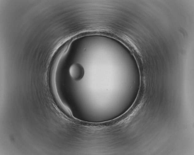 X0000111670781200907311157