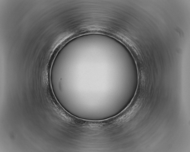 X0000111670782200907311157