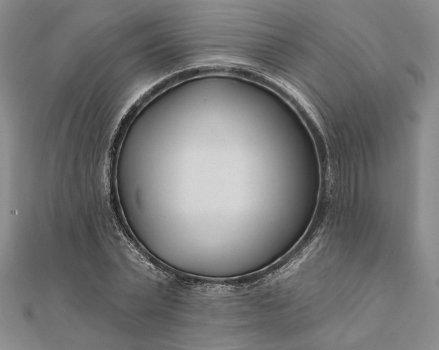 X0000111670783200907311157