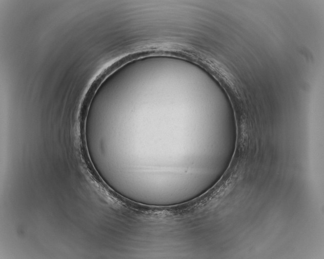 X0000111670784200907311157