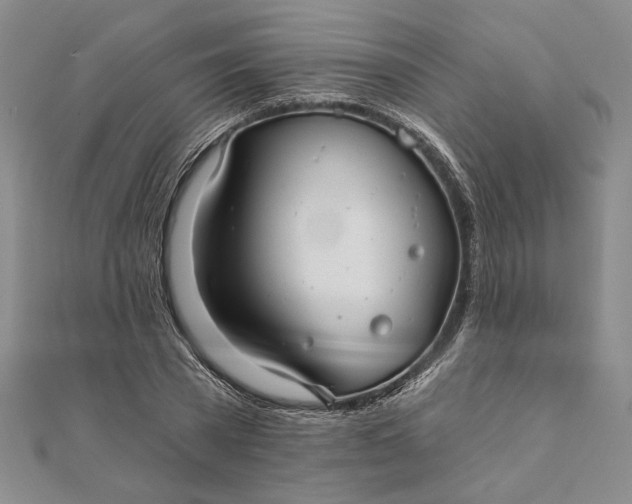 X0000111670785200907311157