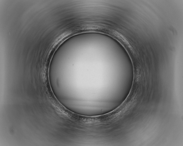 X0000111670786200907311157