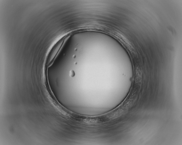 X0000111670788200907311157