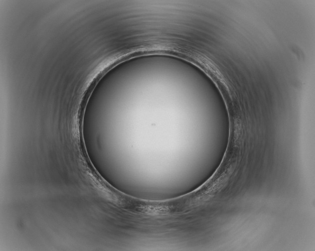 X0000111670789200907311157