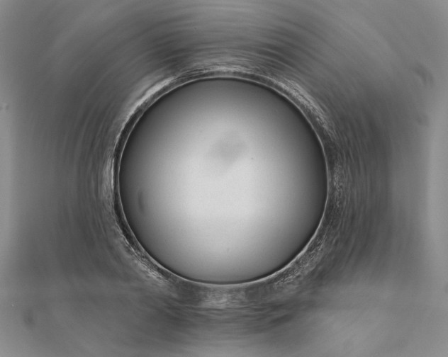 X0000111670790200907311157