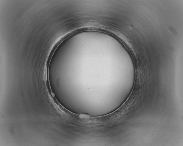 X0000111670791200907311157