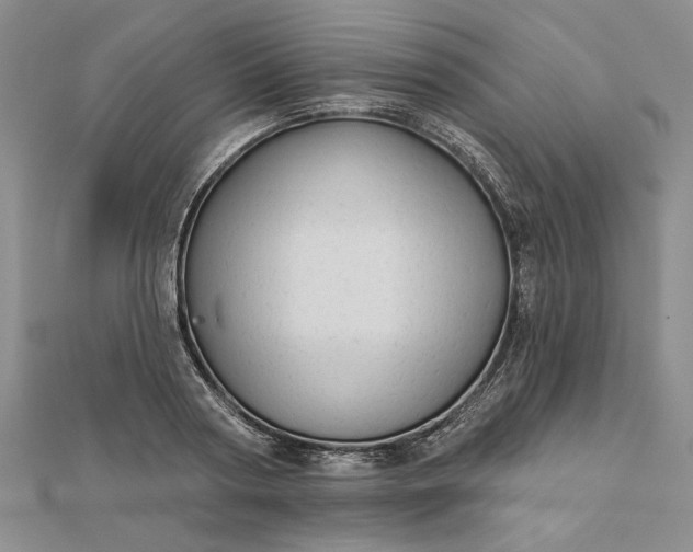 X0000111670794200907311157