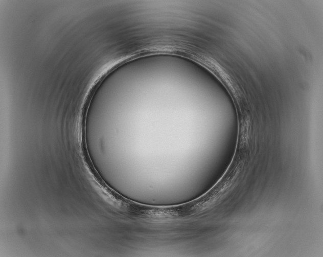 X0000111670795200907311157