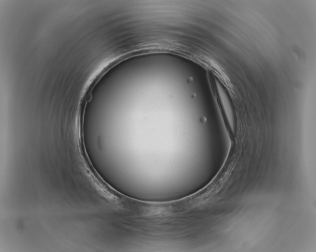 X0000111670796200907311157