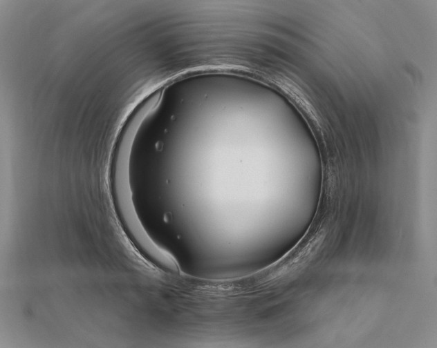 X0000111670797200907311157