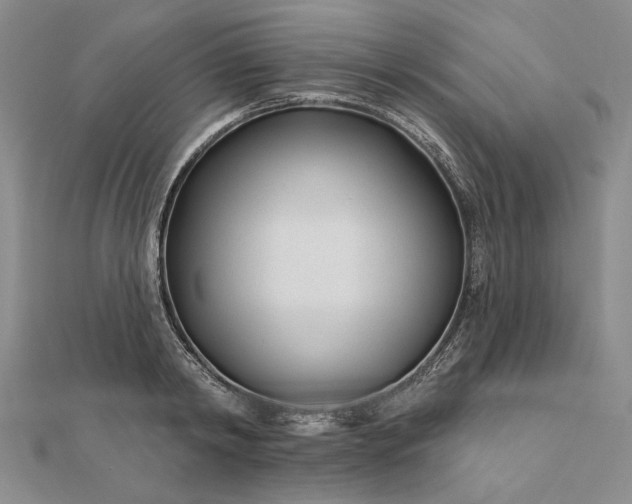 X0000111670798200907311157