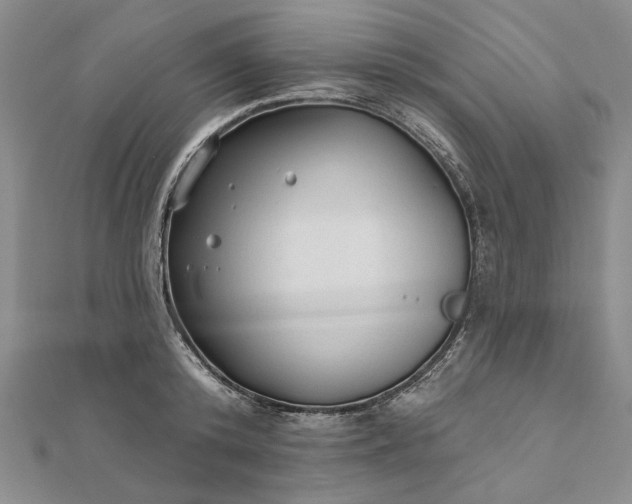 X0000111670800200907311157