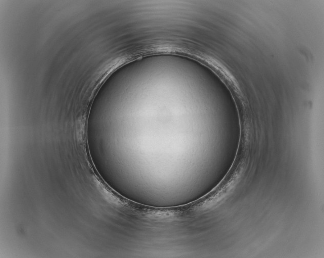 X0000111670801200907311157