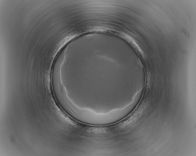 X0000111670802200907311157