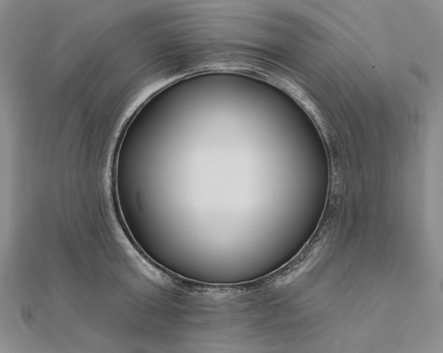 X0000111670803200907311157